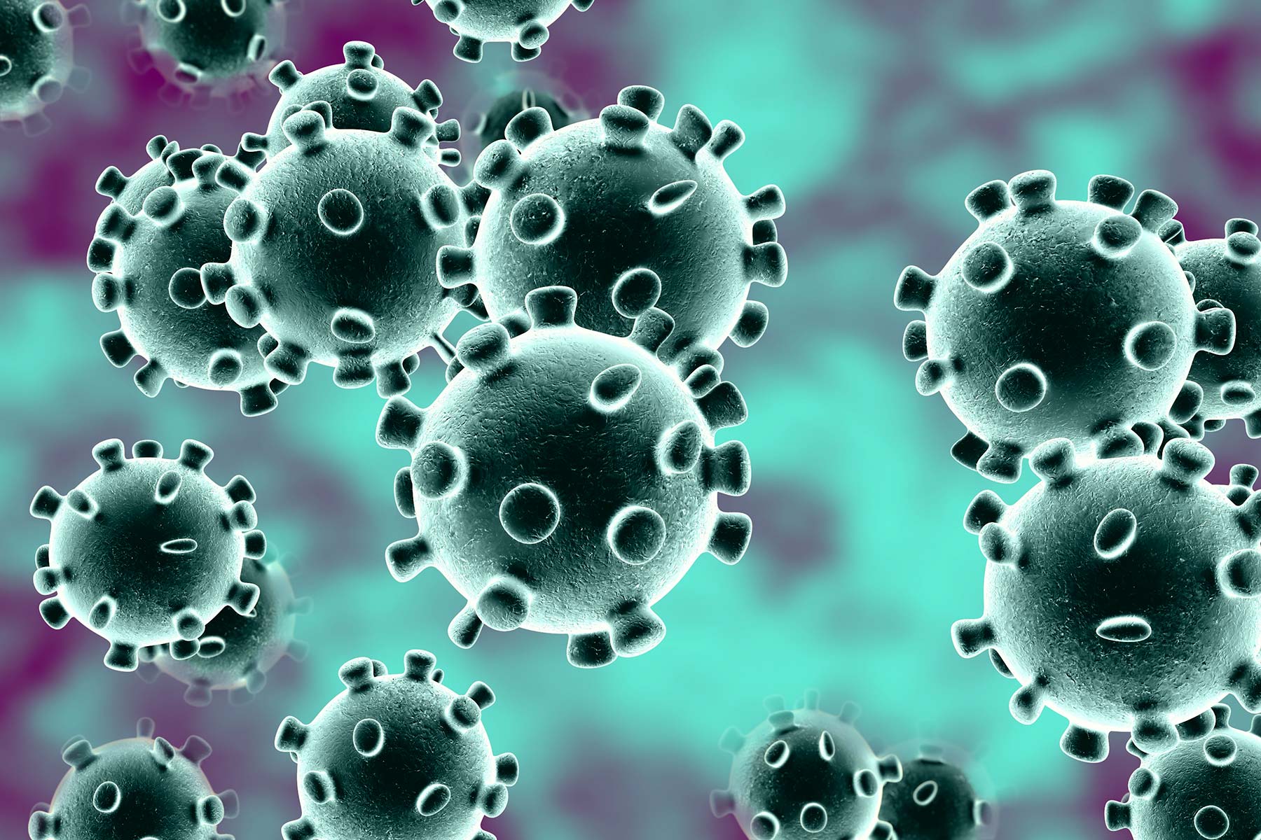 1800x1200 Coronavirus 1 1800x1200 Coronavirus 1