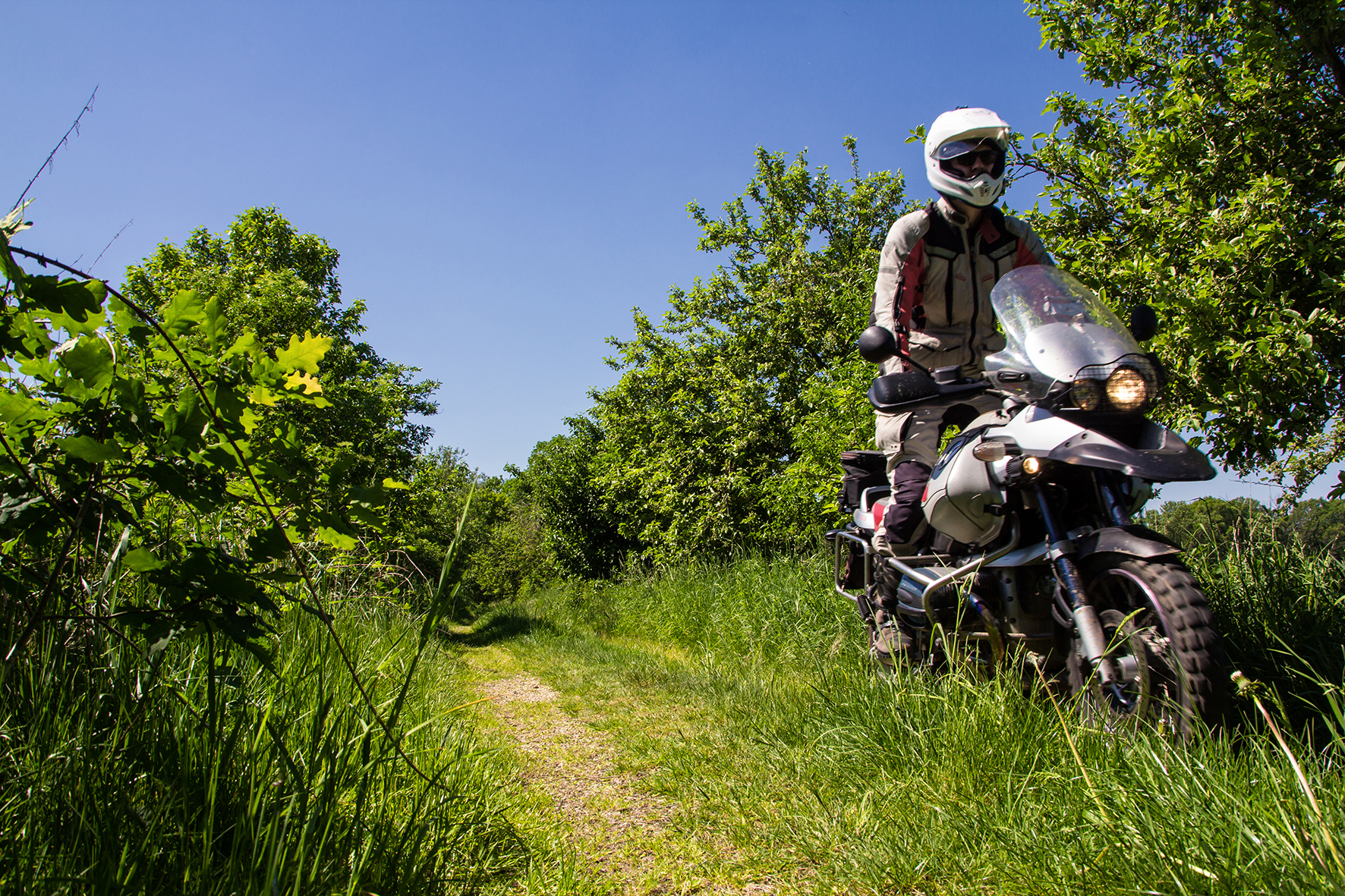 Motorrad Auf Einem Waldweg Motorrad Auf Einem Waldweg